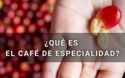 Blog 13 Que es el café de especialidad. Entérate