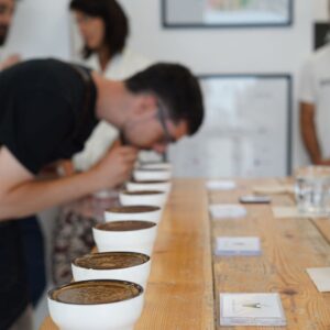 Curso de Barista Intensivo 7 cata de cafés de especialidad o cupping - Animal Coffee - Barcelona, España
