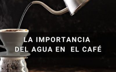 Blog 14 La importancia del agua en el café
