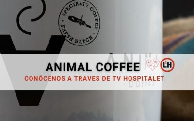 Blog 10 Animal Coffee en TV Hospitalet – Tostador de Café de Especialidad