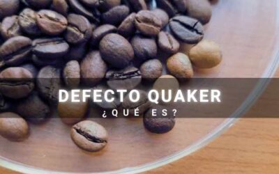 Blog 3 Defectos en el café: 1. Quaker ¿Qué es?